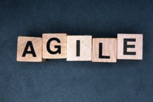 The Future of Agile